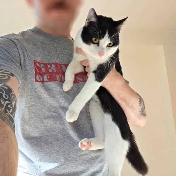 Ham Hock - European available for adoption