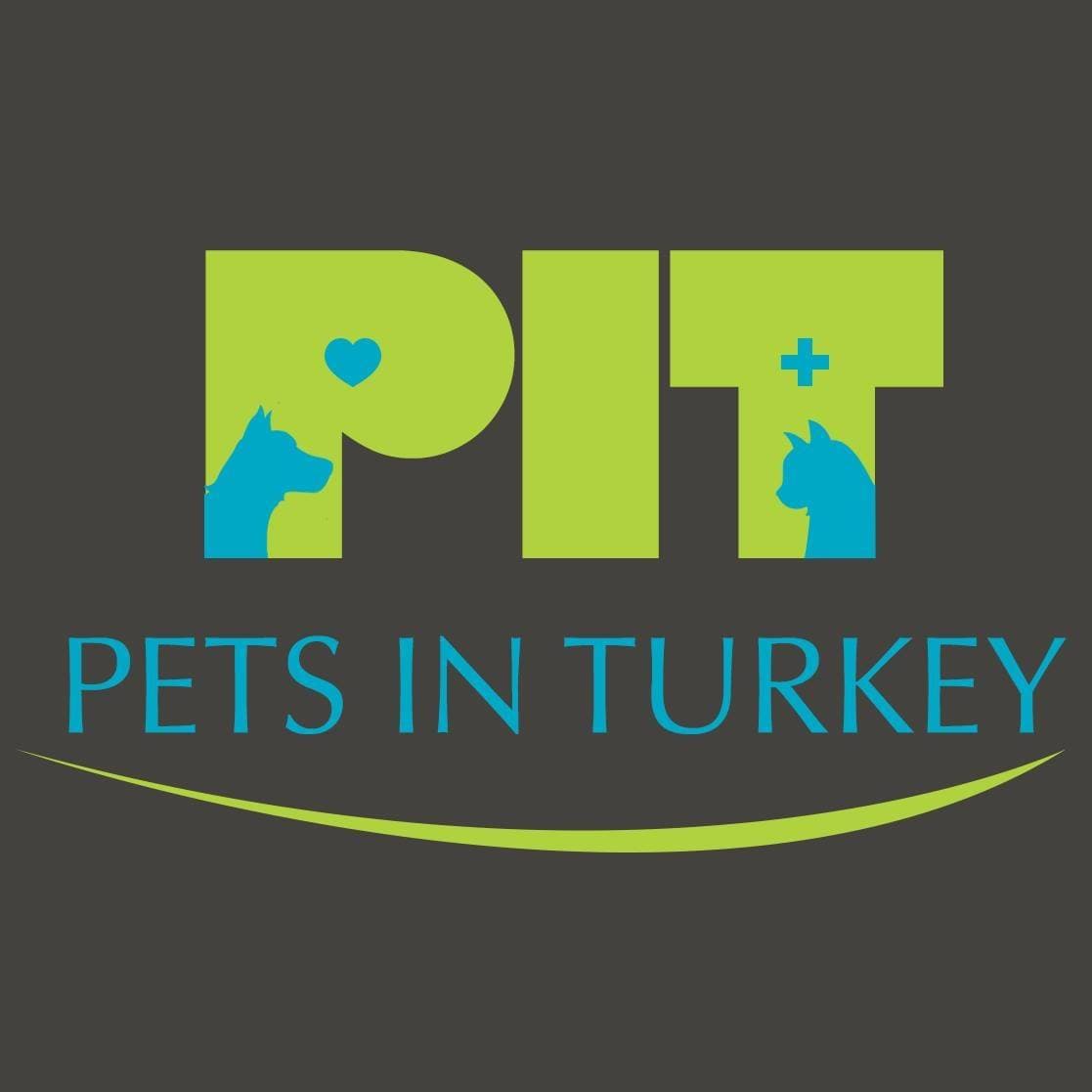 Pets in Turkey logo