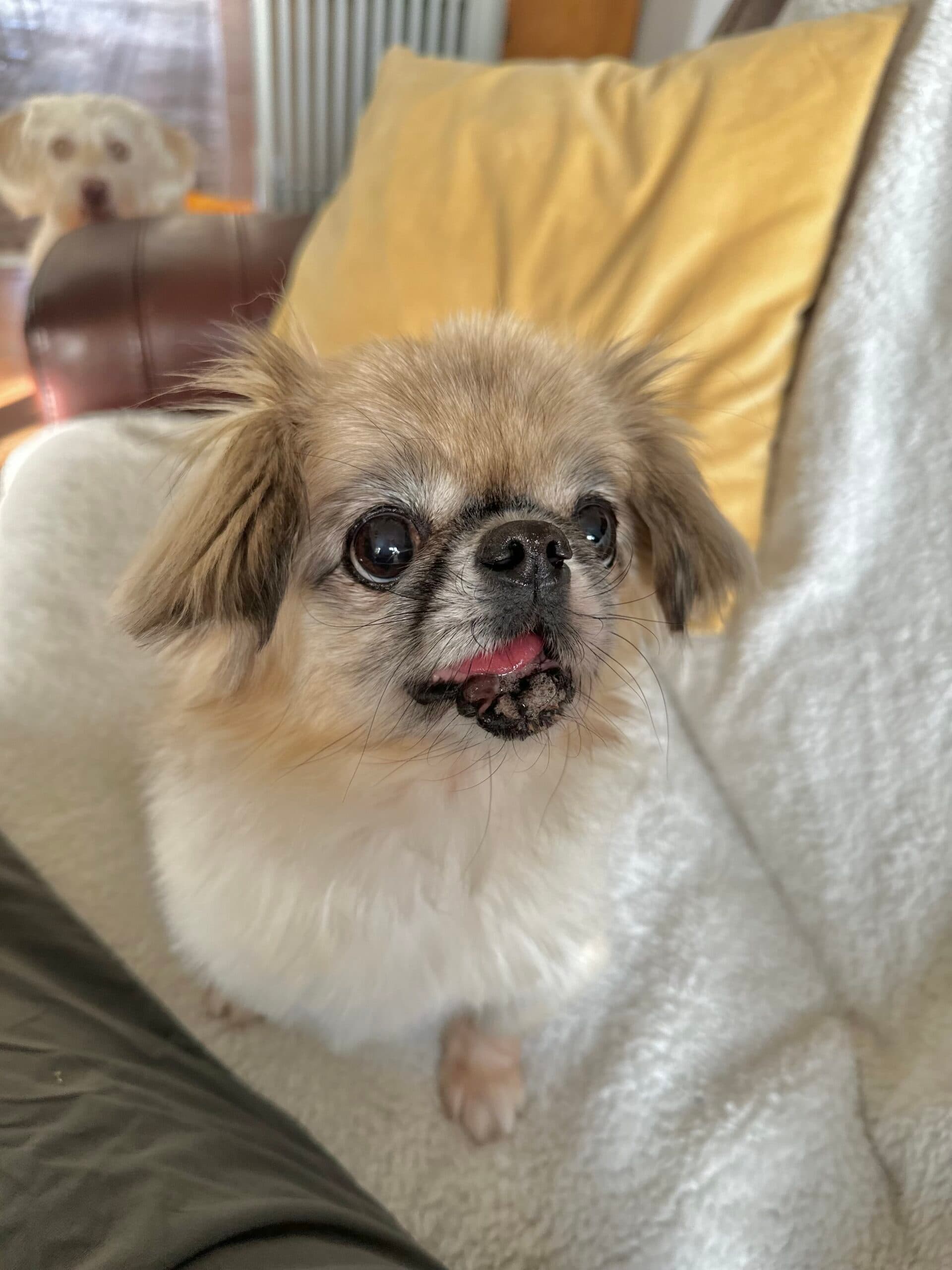 Mickie