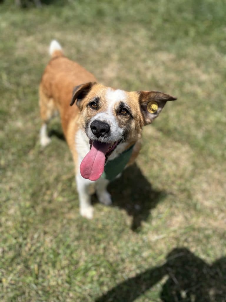 Vin