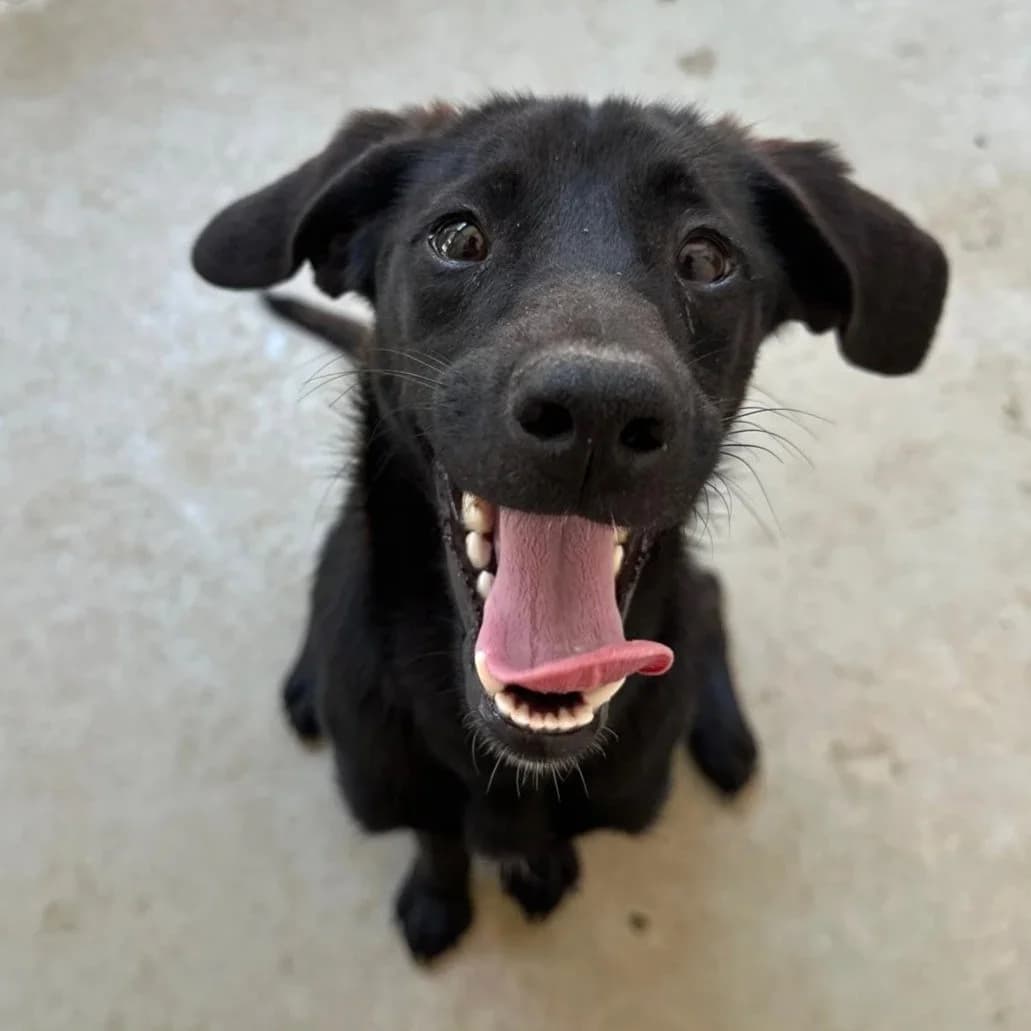 Sam